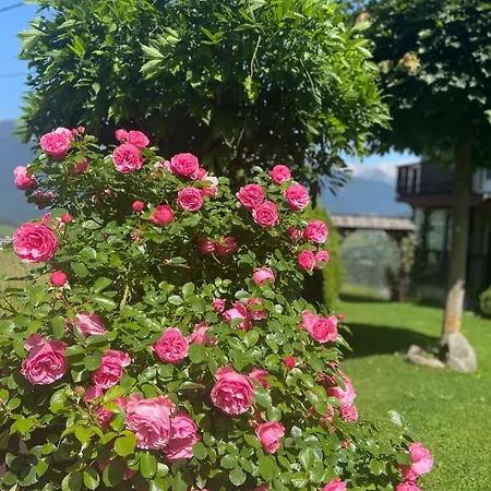 Haus Schwaighof Διαμέρισμα *