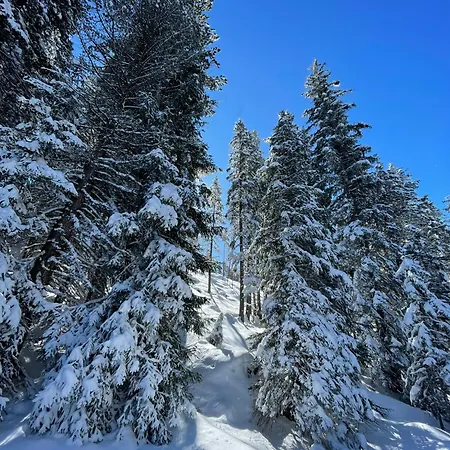 Haus Schwaighof Διαμέρισμα Arzl im Pitztal