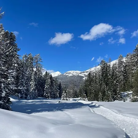 Haus Schwaighof Daire Arzl im Pitztal