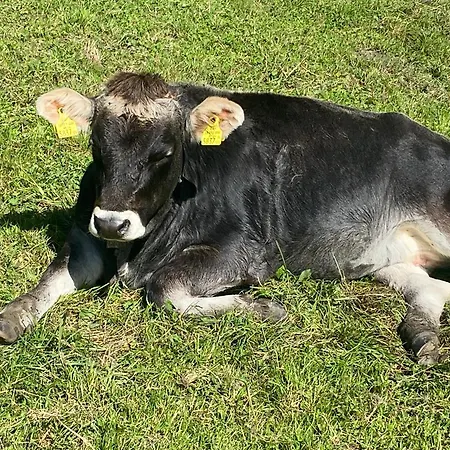 Haus Schwaighof Arzl im Pitztal