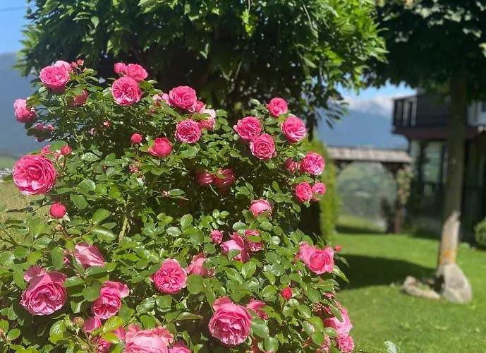 Haus Schwaighof 아파트 *