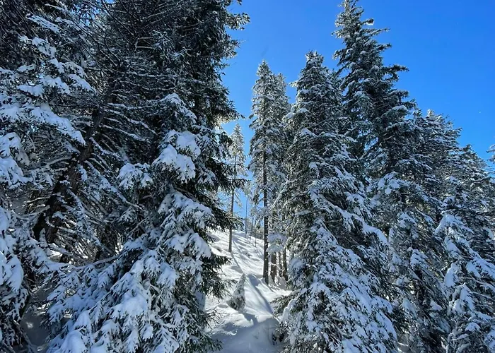 Haus Schwaighof 아파트 알즈임피츠탈