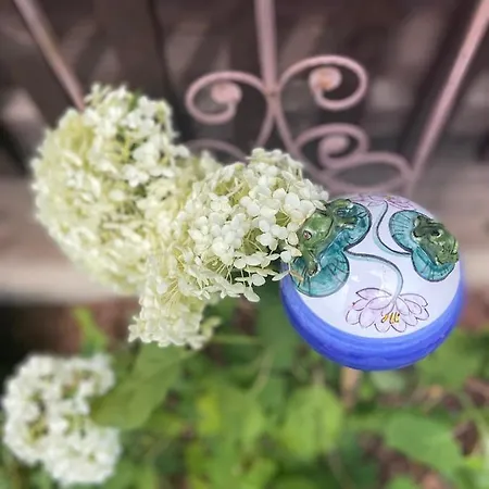 公寓 Haus Schwaighof 阿泽皮茨陶